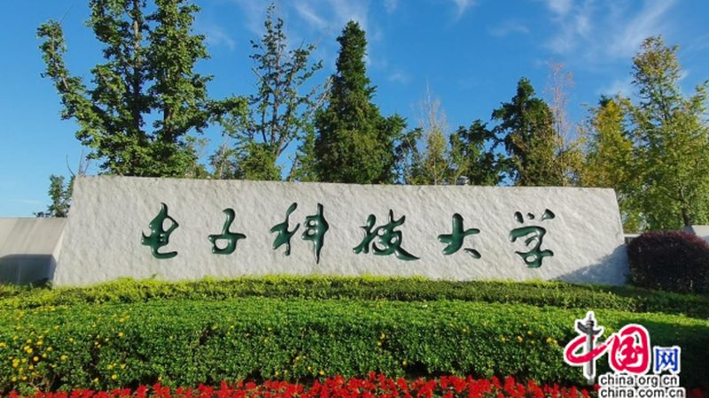 揭秘成都电子配件批发市场：供应商排名背后的考量