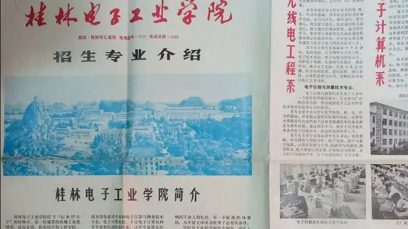 国产二极管批发市场：如何洞察趋势与选品**